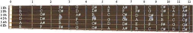 Half Step Down Fretboard
